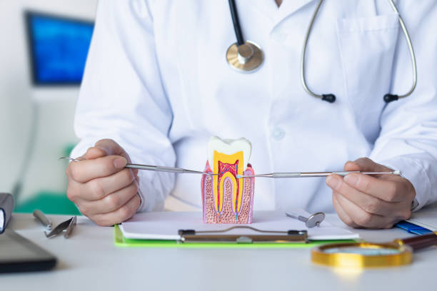 Best Pediatric Emergency Dentist in High Ridge, MO